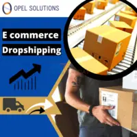 How to boost your Ecommerce with Drop Shipping | Opelsolutions - 1