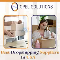 How to choose the Best Dropshipping Suppliers in USA for your startup | Opelsolutions - 1