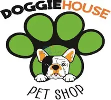 Beagle Puppy For Sale Dallas - 1