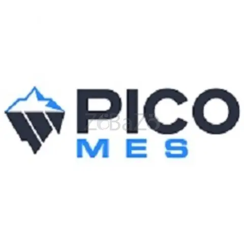 Pico MES - 1/1