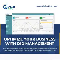 Optimize Your Business With DID Management - 1