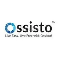 Empower Your Business with Ossisto Virtual Assistant Support in Singapore