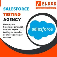 Salesforce Testing Services by Fleek IT Solutions - 1