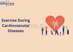 The Cardiovascular Benefits of Exercise: Strengthening Hearts, Preventing Diseases - 1
