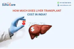 Affordable Liver Transplant Cost in India: World-class Healthcare at Low Price - 1