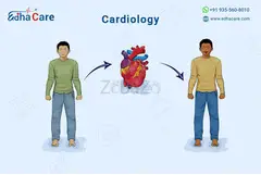 Understanding Heart Health and Cardiovascular Diseases - 1