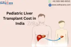 Affordable Excellence: Pediatric Liver Transplant Cost in India - 1