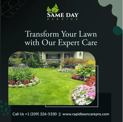 Affordable Lawn Maintenance in Stockton - Same Day Service - 1