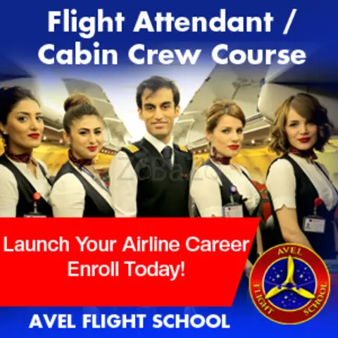 VIRTUAL LIVE CLASS FLIGHT ATTENDANT / CABIN CREW COURSE - 1