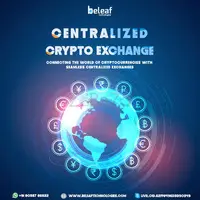 Centralized crypto exchange development