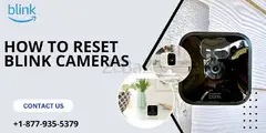 How to Reset Blink Cameras?|+1-877-935-5379| Blink Support - 1