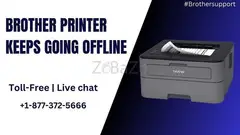 Brother Printer Keeps Going Offline | +1-877-372-5666 | Brother Support - 1