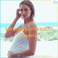 Find Top-Rated Surrogacy Agencies In Corona - 1