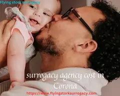 Find Top-Rated Surrogacy Agencies In Corona