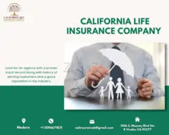 Visalia Life Insurance Company - 1