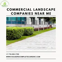 Commercial Landscape Companies Near Me - 1