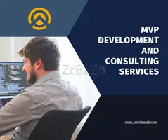 MVP Development Company & Consultant Services | Amplework
