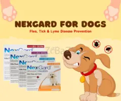 Nexgard For Dogs: Buy Nexgard Flea and Tick Protection Online | BestVetCare