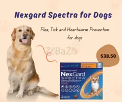 Nexgard Spectra for Dogs: Buy Nexgard Spectra Flea and Tick Treatment for Dogs Online - 1