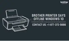 +1-877-372-5666 | Brother Printer Says Offline Windows 10 | Brother Printer Support