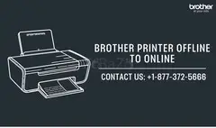 +1-877-372-5666 | Brother Printer Offline to Online | Brother Printer Support - 1