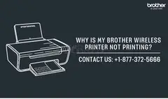 +1–877–372–5666 | Why Is My Brother Wireless Printer Not Printing? | Brother Printer Support - 1
