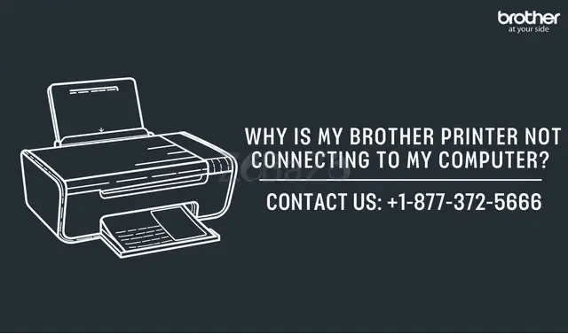 +1-877-372-5666 | Why Is My Brother Printer Not Connecting To My Computer? | Brother Printer Support - 1