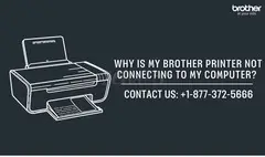 +1-877-372-5666 | Why Is My Brother Printer Not Connecting To My Computer? | Brother Printer Support - 1