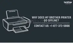 +1-877-372-5666 | Why Does My Brother Printer Go Offline? | Brother Printer Support