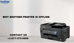 +1-877-372-5666 | Why Brother Printer Is Offline | Brother Printer Support