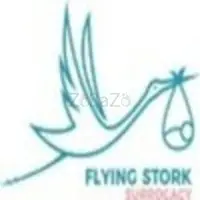 Find the Top Surrogacy Agencies in Corona - Flying Stork Surrogacy - 2