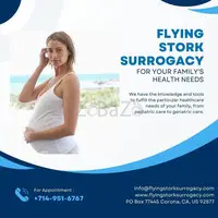 Find the Top Surrogacy Agencies in Corona - Flying Stork Surrogacy - 3