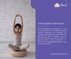 Stress Reduction Coach from Slow It Travel