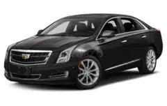 Premium Executive Car Service in DC: Experience Luxury Travel with Ease