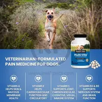 Nutri-Vet Multi-Vite Chewable Vitamins for Dogs Liver, 120 ct