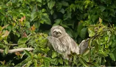 Choose the Best Costa Rica Tour Company? Eco Terra Costa Rica