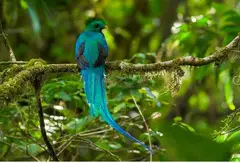 Discover Arenal Volcano National Park with Ecoterra Costa Rica - 2