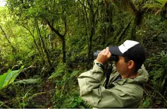 Discover Arenal Volcano National Park with Ecoterra Costa Rica - 4