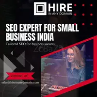 SEO expert for small business India - 1
