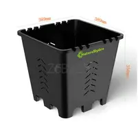 Berry Grow Pots Wholesale