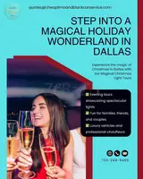 Magical Christmas Light Tours Dallas
