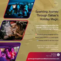 Magical Dallas Christmas Lights Sightseeing Ride