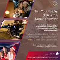 Best Christmas Light Tours in Dallas TX