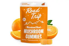 Road Trip Gummy: Microdosed Functional Mushrooms for Focused Adventures – Matelski Family Farm