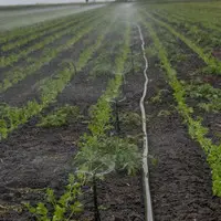 Precision Irrigation Design Services in Texas