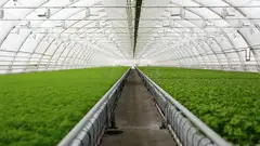 Smarter Irrigation Design for California's Climate
