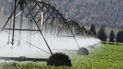 Innovative Irrigation Solutions by Irri Design Studio