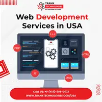How To Choose A Web Development Company in USA?
