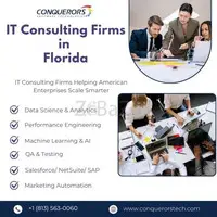 IT Consulting Firms in Florida  | Conquerors Tech