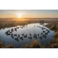 Mixed-Species Duck & Goose Decoys: Integration Guide – Jahpoo